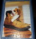 Jumbo puzzel - puppy in schoen (Cavalier King Charles Spaniel) - 2 - Thumbnail