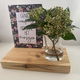 decoratie set houten standaard & quote kaart & vaasje adv 3 - 1 - Thumbnail