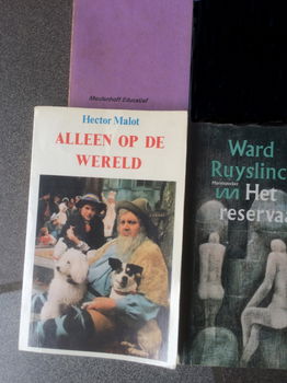 lot boeken allerlei - 2