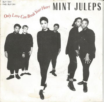 Mint Juleps – Only Love Can Break Your Heart (1985) - 0