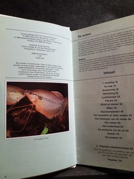 Tropische Vissen - 2