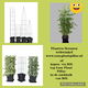Verticaal tuinieren met handige plantenrekken - 0 - Thumbnail