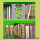 Verticaal tuinieren met handige plantenrekken - 1 - Thumbnail
