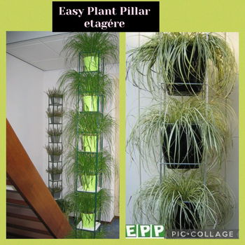 Verticaal tuinieren met handige plantenrekken - 4
