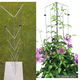 Verticaal tuinieren met handige plantenrekken - 6 - Thumbnail