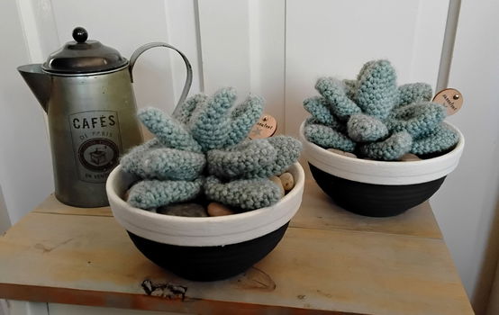 Succulenten in pot - gehaakt - erg apart - 0