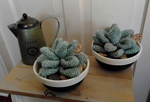 Succulenten in pot - gehaakt - erg apart - 1