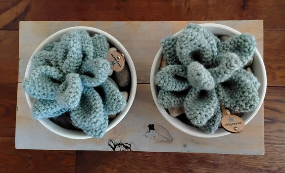 Succulenten in pot - gehaakt - erg apart - 3