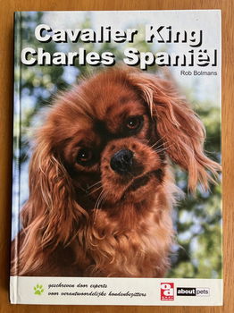 Cavalier King Charles Spaniêl - Rob Bolmans - 0