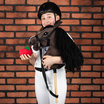 Hobby Horse bruin | Groot formaat A3 met halster - 2