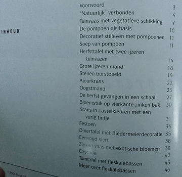 Boek: Decoreren met pompoenen (nieuw) - 3