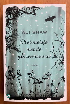 Het meisje met de glazen voeten - Ali Shaw - 0