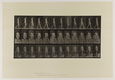 Eadweard Muybridge - Animal Locomotion - 1887 - plaat 17 - 0 - Thumbnail