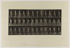 Eadweard Muybridge - Animal Locomotion - 1887 - plaat 17