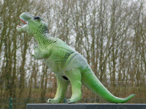 dino , dinosaurus - 1