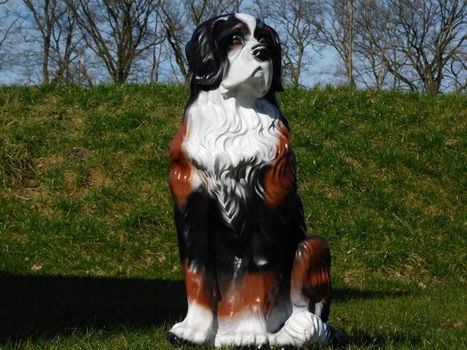 hond berner senne , tuinbeeld - 0