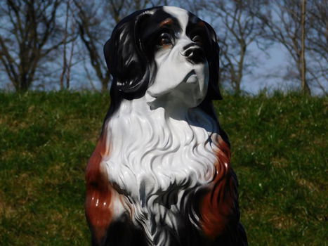 hond berner senne , tuinbeeld - 7