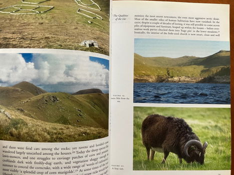 St. Kilda and the wider world - Tales of an iconic Island - 3