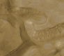 Bewijs voor recent water op Mars - fotoprint - 0 - Thumbnail