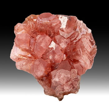 Rhodochrosiet - Zuid-Afrika - fotoprint - 0