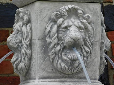 fontein , leeuw - 2