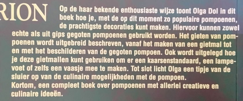 Pompoen Decoraties - Natuurlijke pompoenen * kunstpompoenen * gegoten pompoenen * gesjabloneerde pom - 2
