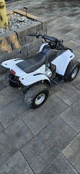 Quad - 1