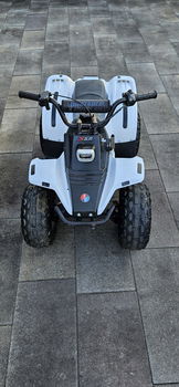 Quad - 2