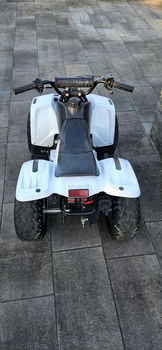 Quad - 3