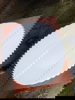 Borden - 2