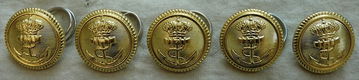 Knopen Lotje, Uniform, Tropen, Koninklijke Marine, Goudkleurig, 24mm, 5 stuks.(Nr.5) - 1 - Thumbnail