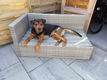 Lieve hond BEN - 1 - Thumbnail