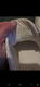 Nieuwe originele dames guess gympies - 4 - Thumbnail