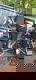 YAMAHA 55 HP Out Board Engine - 3 - Thumbnail