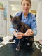 Wolfhond pups - 4 - Thumbnail