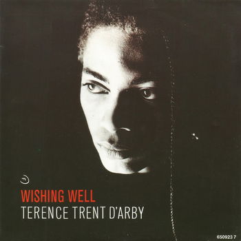 Terence Trent D'Arby – Wishing Well (Vinyl/Single 7 Inch) - 0