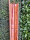 Skiff roeiboot - decoratie - 4 - Thumbnail