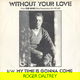 Roger Daltrey – Without Your Love (Vinyl/Single 7 Inch) - 0 - Thumbnail