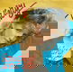 Felicity – Something About You (1986) - 0 - Thumbnail