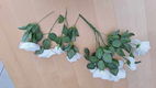 Te koop een bos met witte kunstrozen (met 11 bloemen). - 1 - Thumbnail