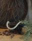 12229 H Wabi sabi houten oliebakje - 0 - Thumbnail