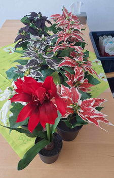 Te koop 11 kunst Kerststerren en kunst Amaryllis van Ikea. - 0