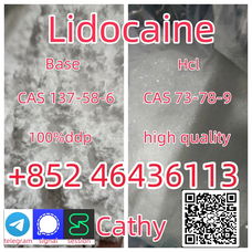 CAS137-58-6 Lidocaine C14H22N2O safe fast delivery Add +852 46436113