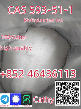 Buy High Quality CAS 593-51-1 Methylamine Hydrochloride at Best Price Add +852 46436113 - 2