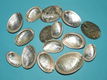 12 Abalone schelpen voor sieraden maken e.d. - 0 - Thumbnail