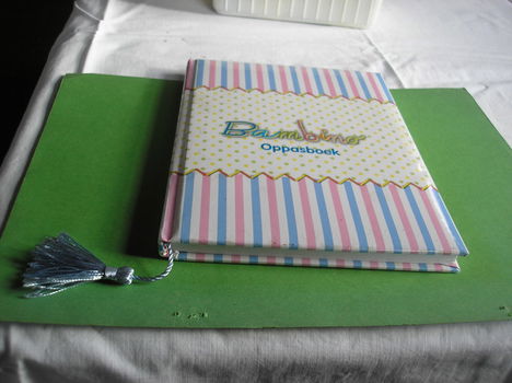 Mijn kinderdagverblijfboek/ oppasboek - 2