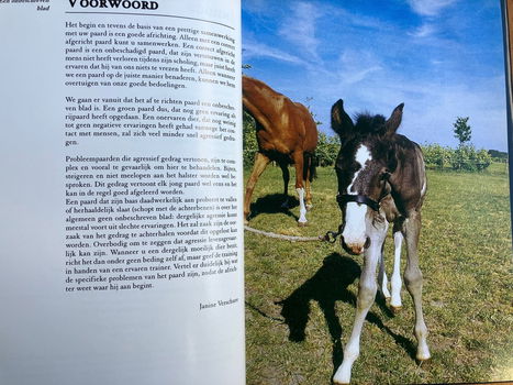 Paardenafrichting - Janine Verschure - 2