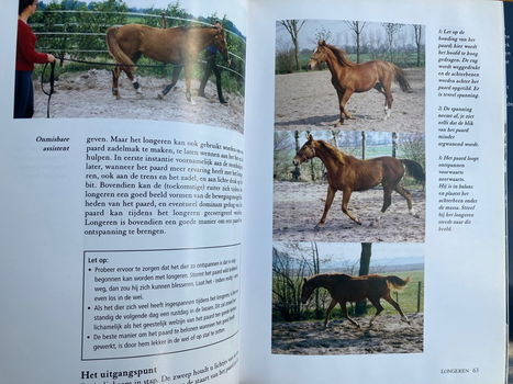 Paardenafrichting - Janine Verschure - 3