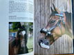 Paardenafrichting - Janine Verschure - 4 - Thumbnail