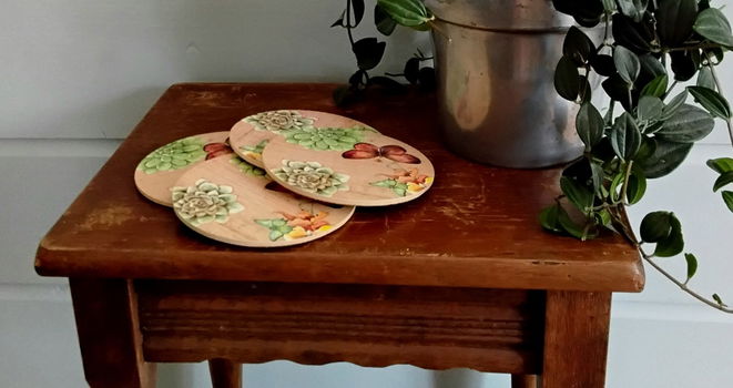 4 kurken onderzetters natuur - By Jet Ter Steege - vlinders, succulent - 3